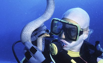 Professor Bryan Fry with the newly discovered sea snake Professor Bryan Fry with the newly discovered sea snake