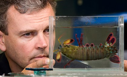 Professor Justin Marshall Professor Justin Marshall