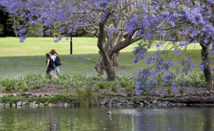 A very strong result for UQ, in a new US-based ranking table A very strong result for UQ, in a new US-based ranking table