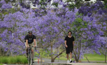 The program includes exercise, yoga and pilates to help students manage stress and anxiety. The program includes exercise, yoga and pilates to help students manage stress and anxiety.