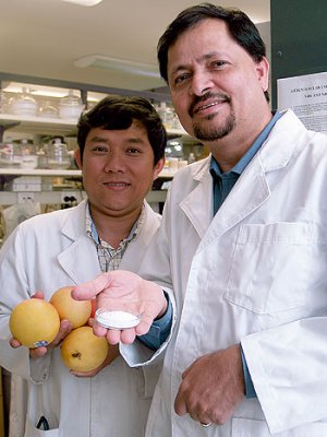 Mr Binh Ho and Professor Bhesh Bhandari Mr Binh Ho and Professor Bhesh Bhandari