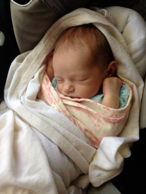 Babies’ hearts can repair themselves, prompting UQ researchers to investigate new heart attack treatments. Babies’ hearts can repair themselves, prompting UQ researchers to investigate new heart attack treatments.