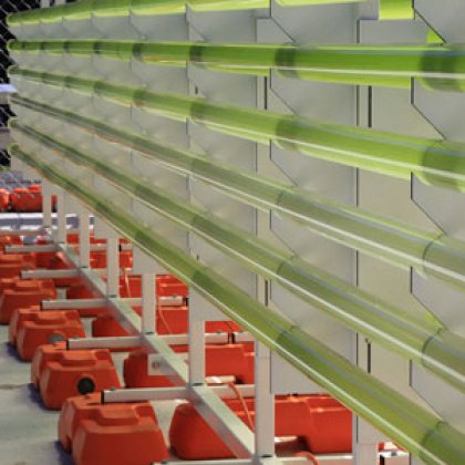 Algal bioreactors at the Solar Biofuels Research Centre Algal bioreactors at the Solar Biofuels Research Centre