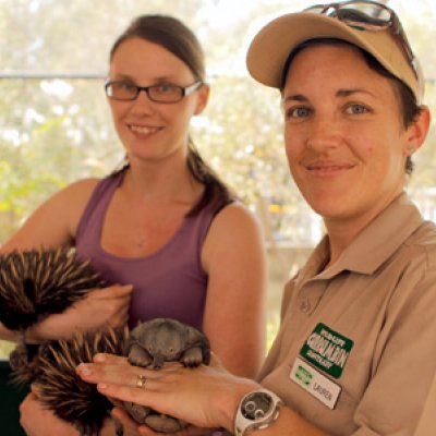 UQ PhD student Andrea Wallage and Currumbin Wildlife Sanctuary keeper Lauren Clark collaborate on echidna breeding research program.