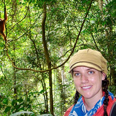 Dr Emma Collier-Baker working with orangutans in Sumatra in 2010