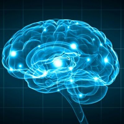 Artist impression of the outline of a brain