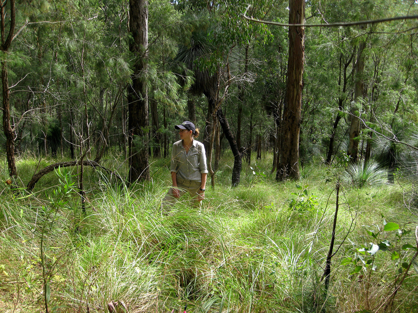 Zoe Stone at Spicers Gap